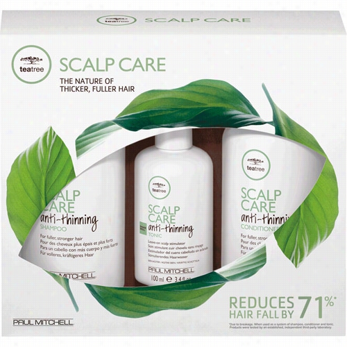 Paul Mitchell Tea Tree Scalp Care Complete Regimne Kit