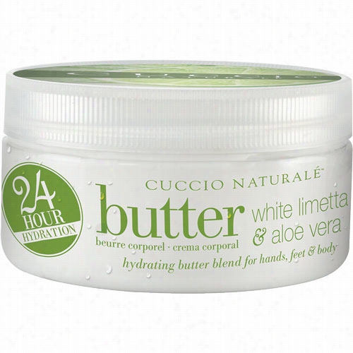 Cucci O Wwhite Limetta & Aloe Vera Butter Blend