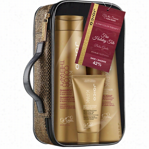 Joico K-pak Color Therapy Holiday Trio