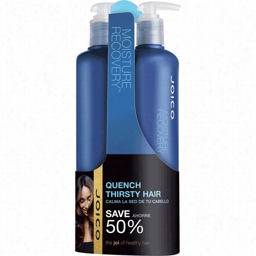 Joico Moisture Recovery Half Liter  Duo