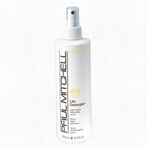 Paul Mitchell Lite Detangler