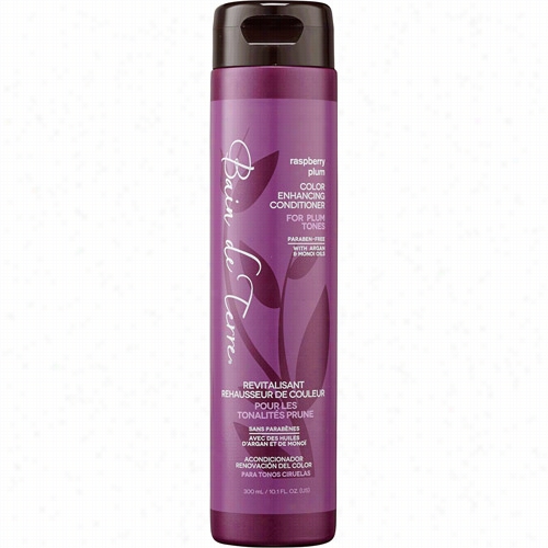 Bain De Terre Raspberry Plum Tinge E Nhancing Conditioner