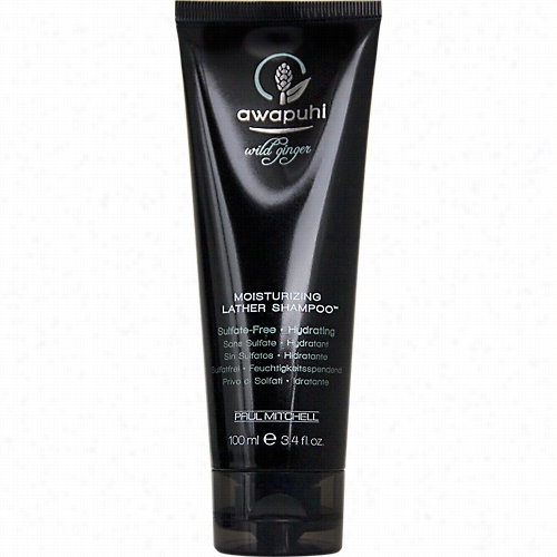 Paul Mutchell Awapuhi Wild Ginger Moisturizing Lather Shampoo-3.4 Oz.