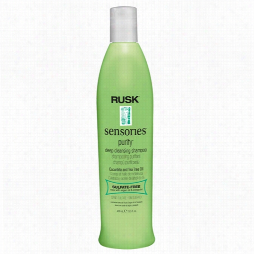 Rusk Sensoriees Defecate  Deep Cleansign Shampoo