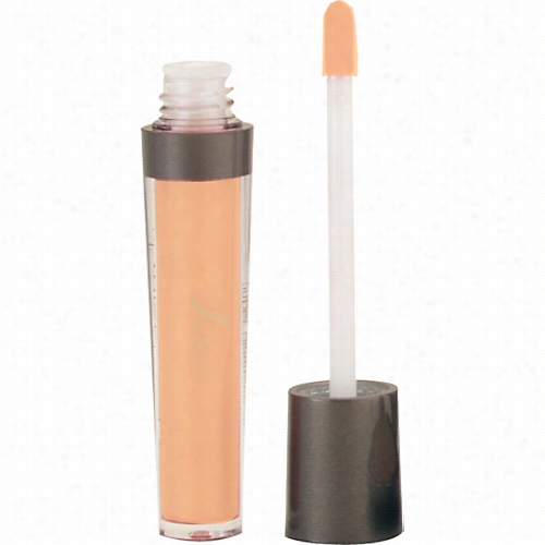 Sorme Lip Thick Plumping Lip Gloss -  Icon