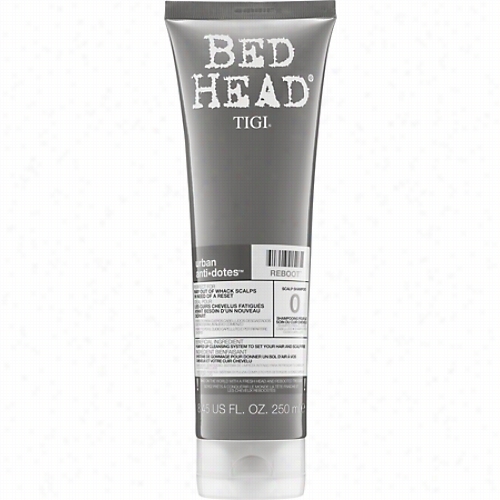 Tigi Bed Head Urban Antidotes Rebpot Scal Shampoo