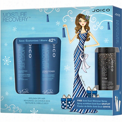 Joico Moisture Recovery Holiday Duo With Gold Dust Shimmer Spray