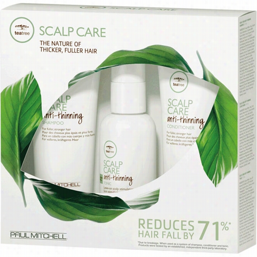 Paul Mitchell Tea Tree Scalp Care Try It Kit