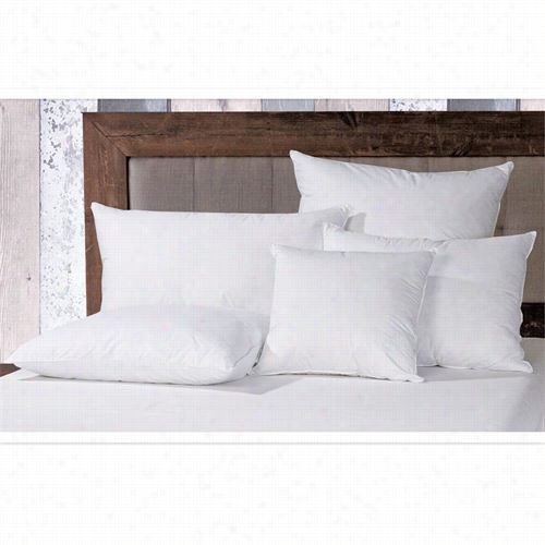 Hiend Accents In1010-ep-oc Low Insert Euro Pillow Sham In White