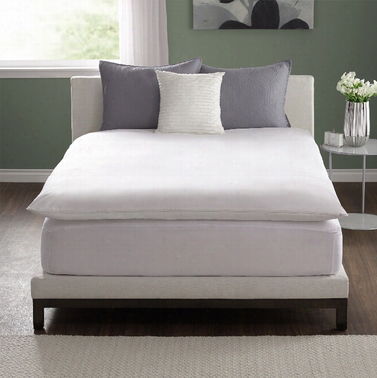 Pacific Coasta Llerrest Feather Bed Protector