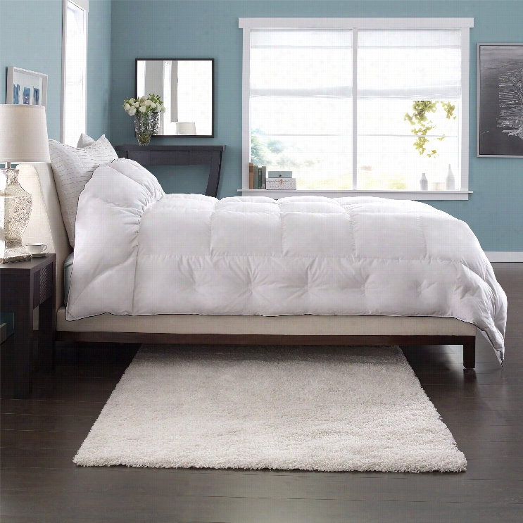 Paific Coast Cuddletop Down Comforter