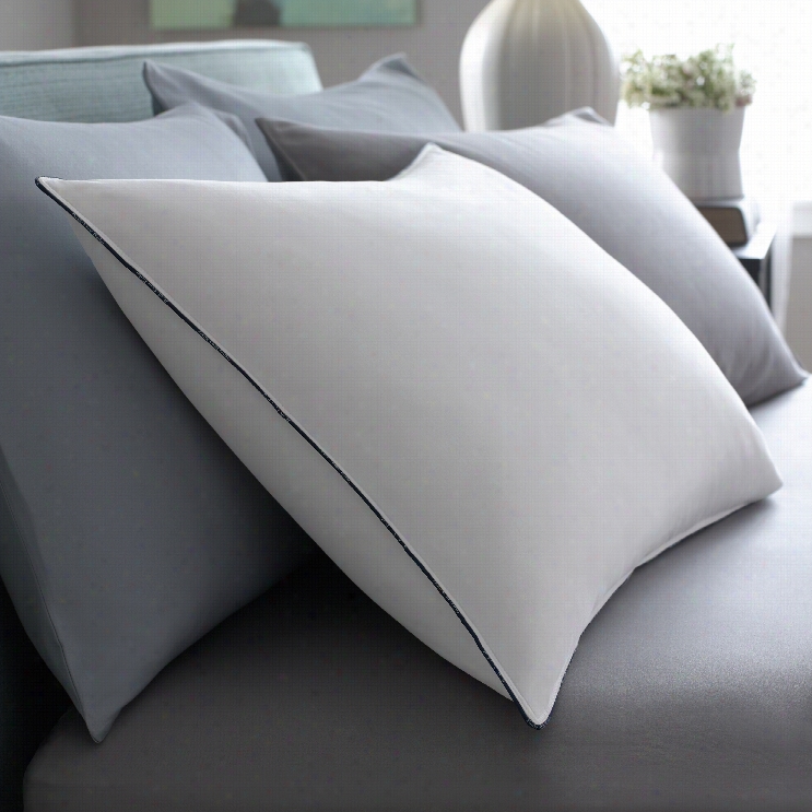 Pacific Coast Feather Bet Pillow