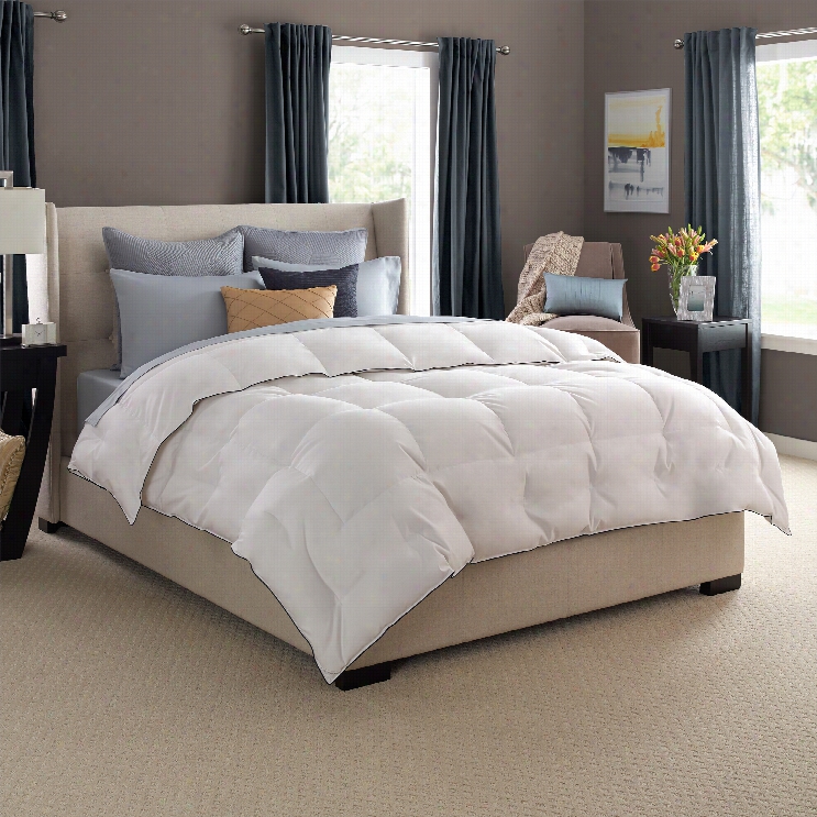 Paacific Coast Luxury Whiteg Oose Down Comforter