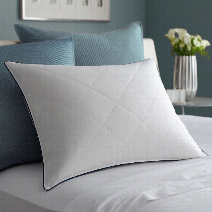 Pacific Coast Resilia Pillow