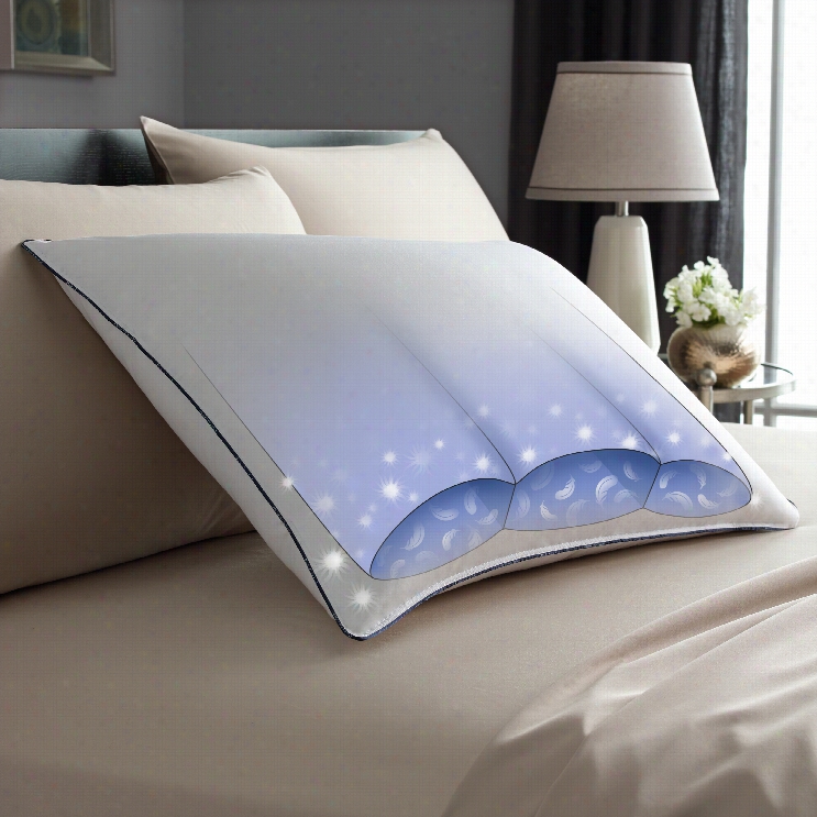 Pacfic Coast Side By Sid E Firm Pillow