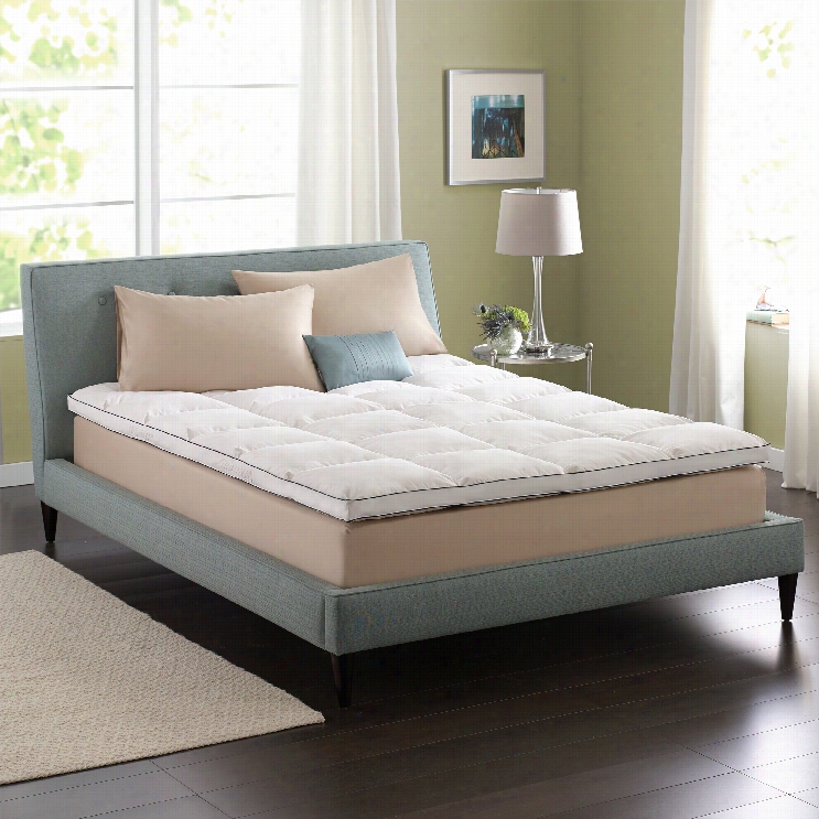 Pacific Coast Superloft Feather Bed