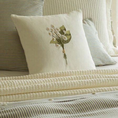Taylor Linens 104meadow-emb Engl Ish Daisy Pillow