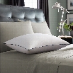 Pacific Coast Luxury Down Pillow