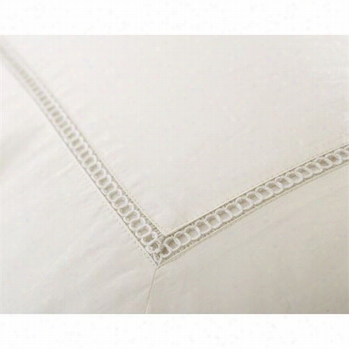 Downright Ambi-duv-t Ambienc Etwin Duvet