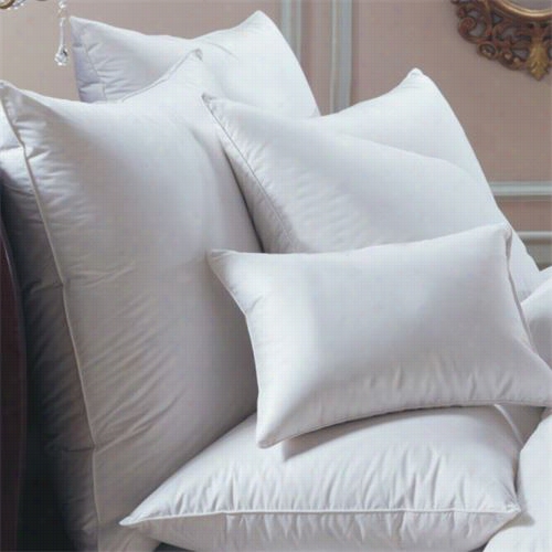 Downnright Bern-eu-med-hu Nbernina 26" X 26" 23oz 650 Ifll Power White Goose Down European Pillow