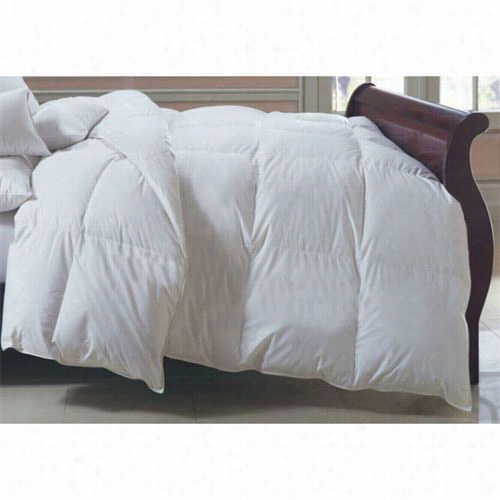 Downright Bern-q-wn-hun Bernina 86" X 86&uot; 46oz 650 Fill P Ower White Goose Doen European Comforter