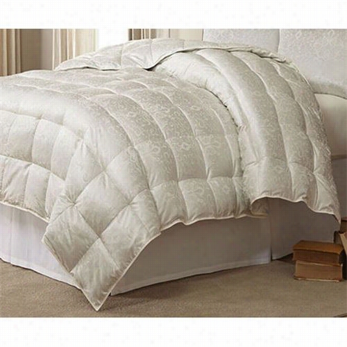 Downright Elia-osq-sm-eid Eliasa 90" X 94" 21oz Eiderdown Comforter In Ecru