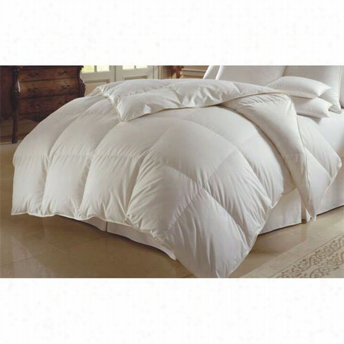 Downright Hima-q-wn-sib Himalaya 86" X 86" 45oz  800 F Ill Power  White Goose Down European Commforter