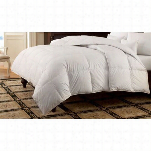 Downright Loga-osk-ay-sib Logana 108&quott; X 994" 43oz 800 Fill Power White Goose Down Batiste Comforter