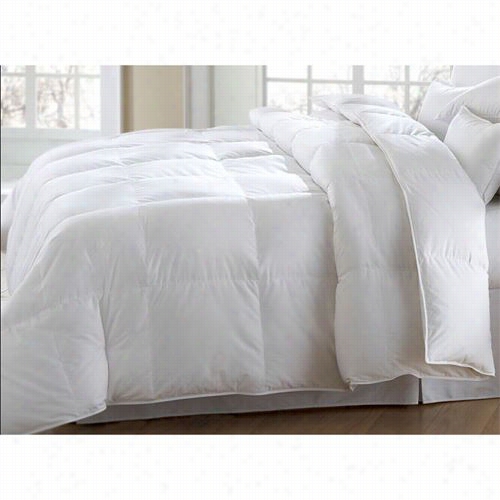 Downright Mack-q-ay-wd Mackenza 86" X 86" 39o9z Comforter