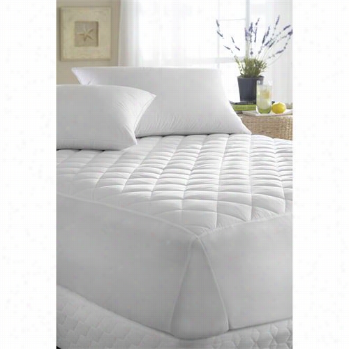 Downright Mp-3375-poly-14 33" X 75" Polyester Fill Mattress Pad I Nwihte