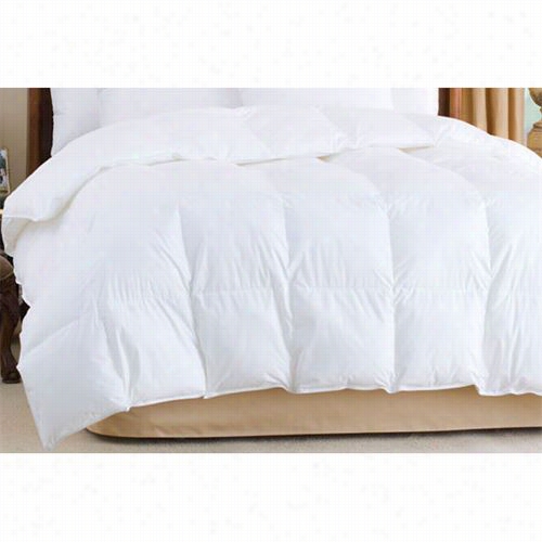 Downrigh Tnirv-q-wn-po L Nirvaa 86" X 86" 43oz 700 Fill Power White Goose Down Cofmorter