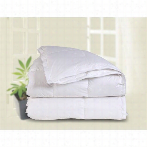 Downright Seas-q-wgd All Season 8 6" X 86" 20oz/30oz 600 Fill Plwerr White Goose Down Comfortwr