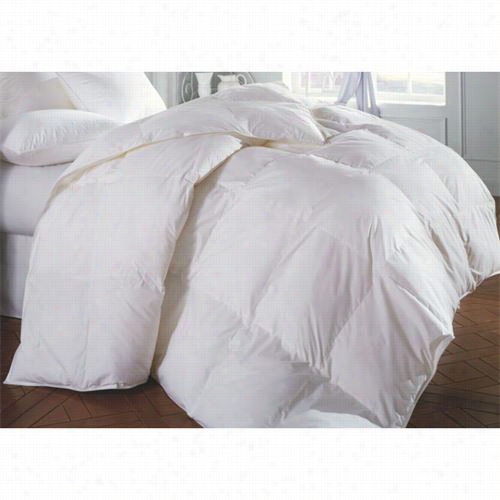 Downright Sier-120-ay-com Sierra 120q&uot; X 120&qu Ot; 126oz Down Alternative Comforter In White