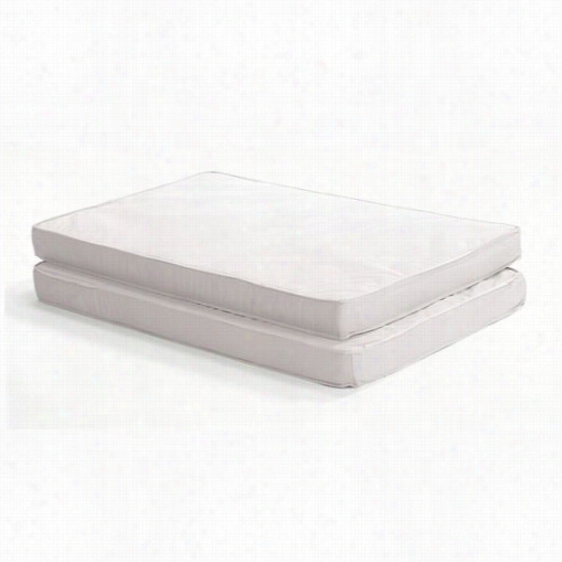 Angeles Ael70070 Replacement Compact Cri Mattress