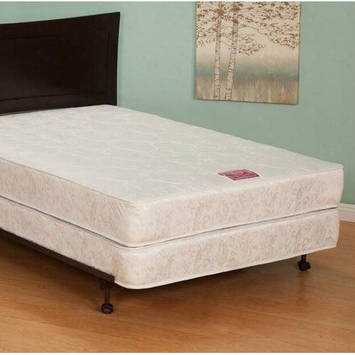 Atlantic Furniture M-01051 King Mattress Protect Or