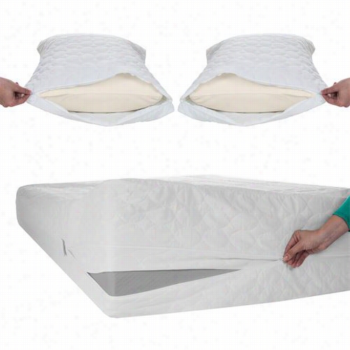 Remedy 64- 0001-f-3 Bed Bug Duust Mite Cotton Mattress And  Pillow Protector - Full