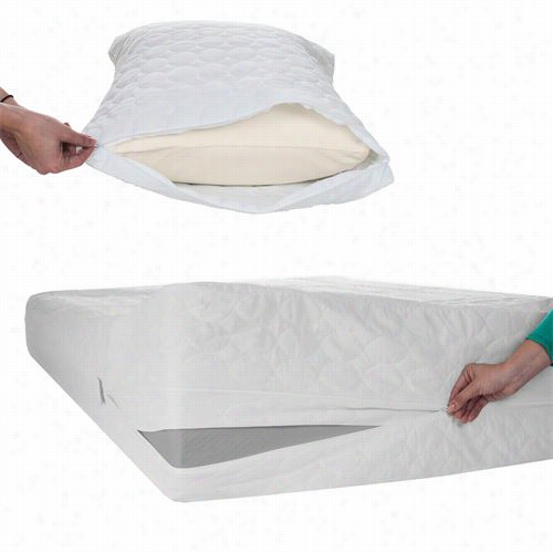 Remedy 64-00001-t-2 Bed Bug Dust Mite Cotton Mattress Ad Pillow Protector - Twin