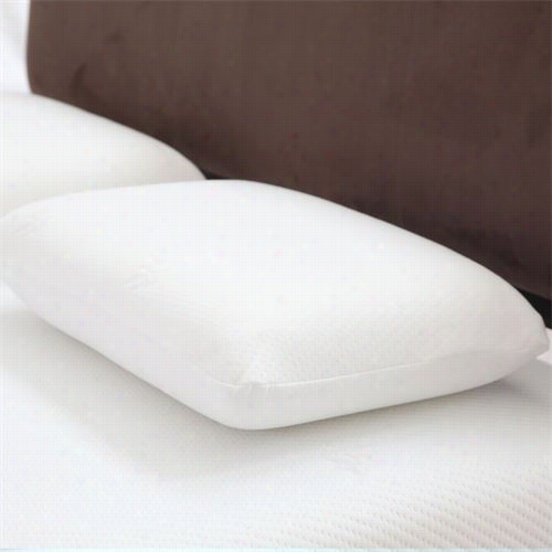 Remedy 64-00007 Large Menory Foam Pillow With Cover