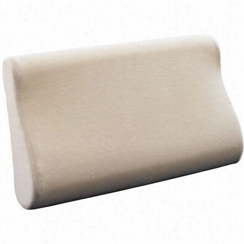 Coaster Furniture 1015 Small Contour Pillow In White