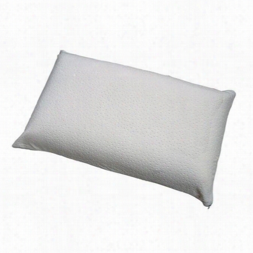 Coaster Furniture 1016 Euro Foram Pillow In White