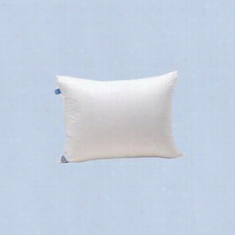 Daniadown 20002 0deluxe Down Blend Pillow