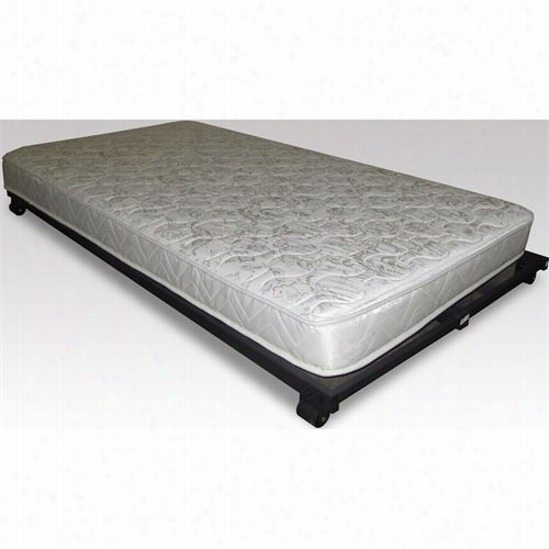 Hillsdale Furniture 91033 Ttwi Ndensity Foam Rolled Mattress