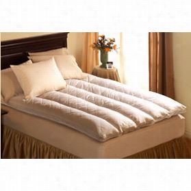 Pacific Coast 42647 Euro Sleep Queen Siz Efeather Bed In White