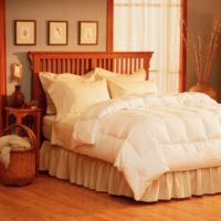 Pacific Coast 48982 Light Warmth Full/queen Ssize Down Comfotrer In White