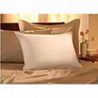 Restful Nights 14162 Standard/queen Size Egyptian Cotton Pillow - Single Pack