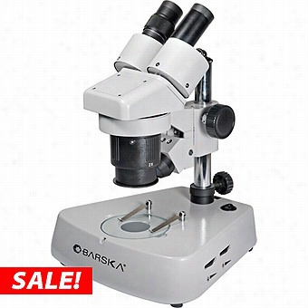 Barska 2-040x  Binoculzr Streo Microscope