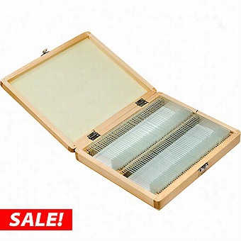 Barsak Set Of 100 Prepaed Microscope Slides W/wood Case