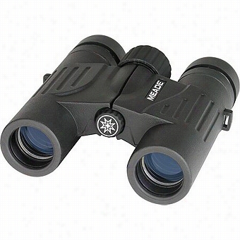 Meade Travelview 10x25 Binoculars