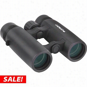 Orion 8x32 Waterproof Compact Binoculars