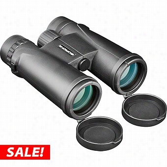 Orion Shoreview Pro 10x42 W Aterproof Shelter Prism Binoculars